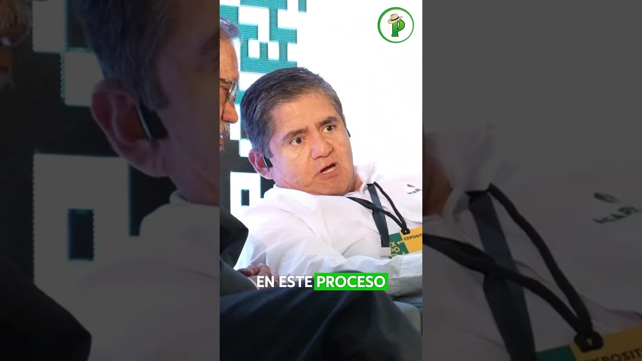 ¿El MOKO está arruinando tu banano? Hay algo que está dando…