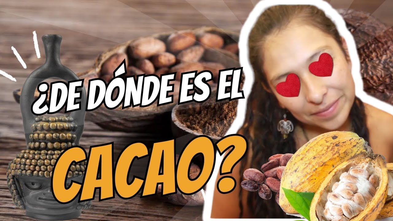 ¿De Dónde Es El Cacao? | ¿Sabías Qué El Cacao Es Ecuatoriano?