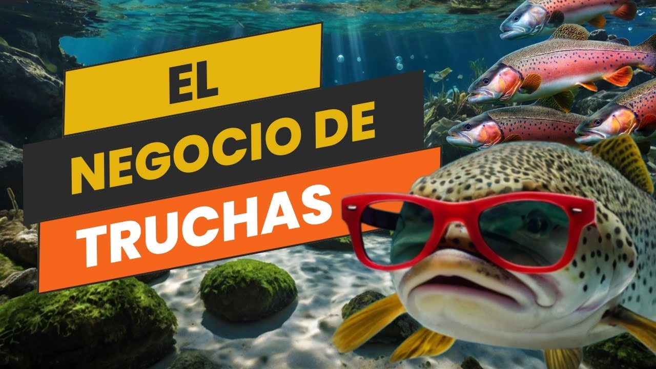 ¿Cómo criar TRUCHAS? Emprende este negocio Paso a paso!