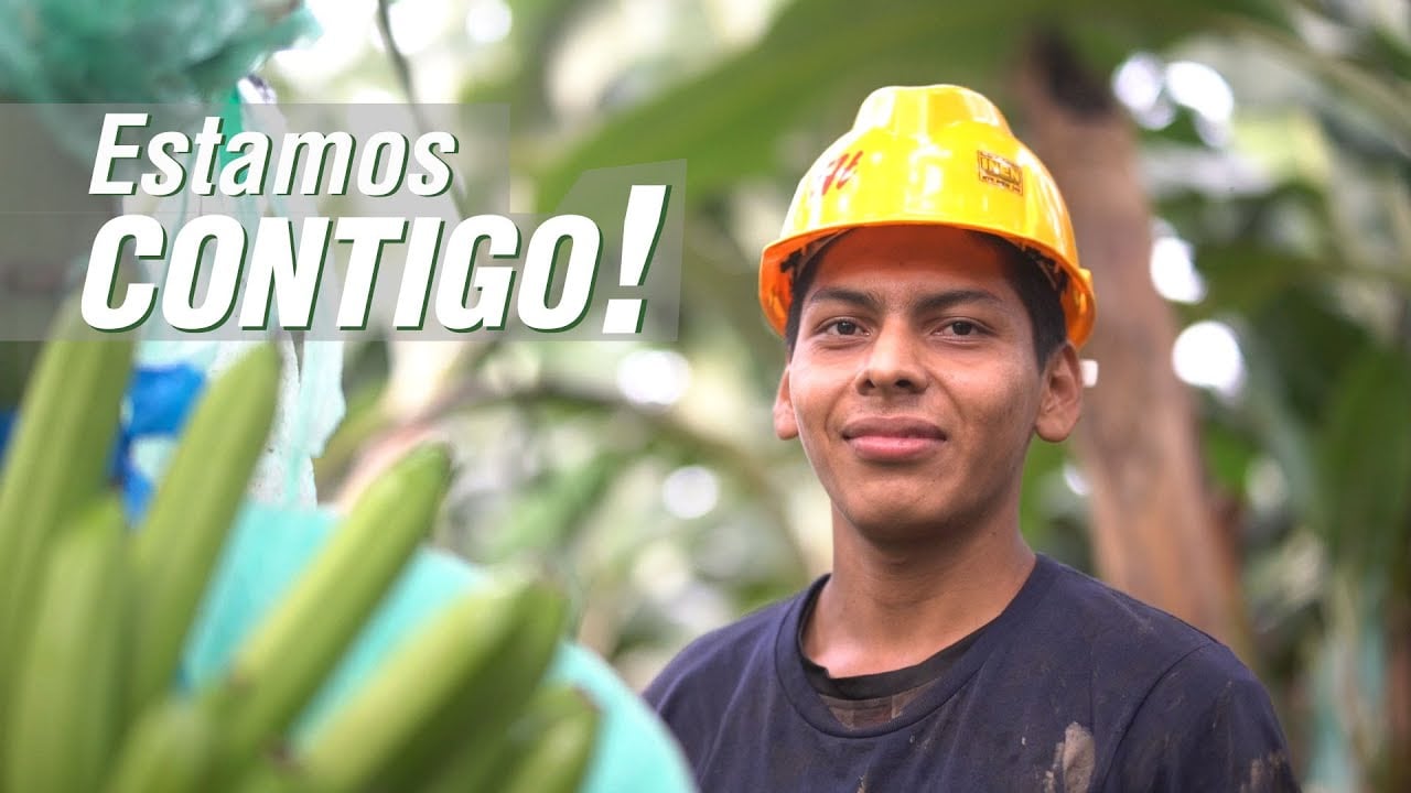 Productores Bananeros Héroes ante el Covid-19
