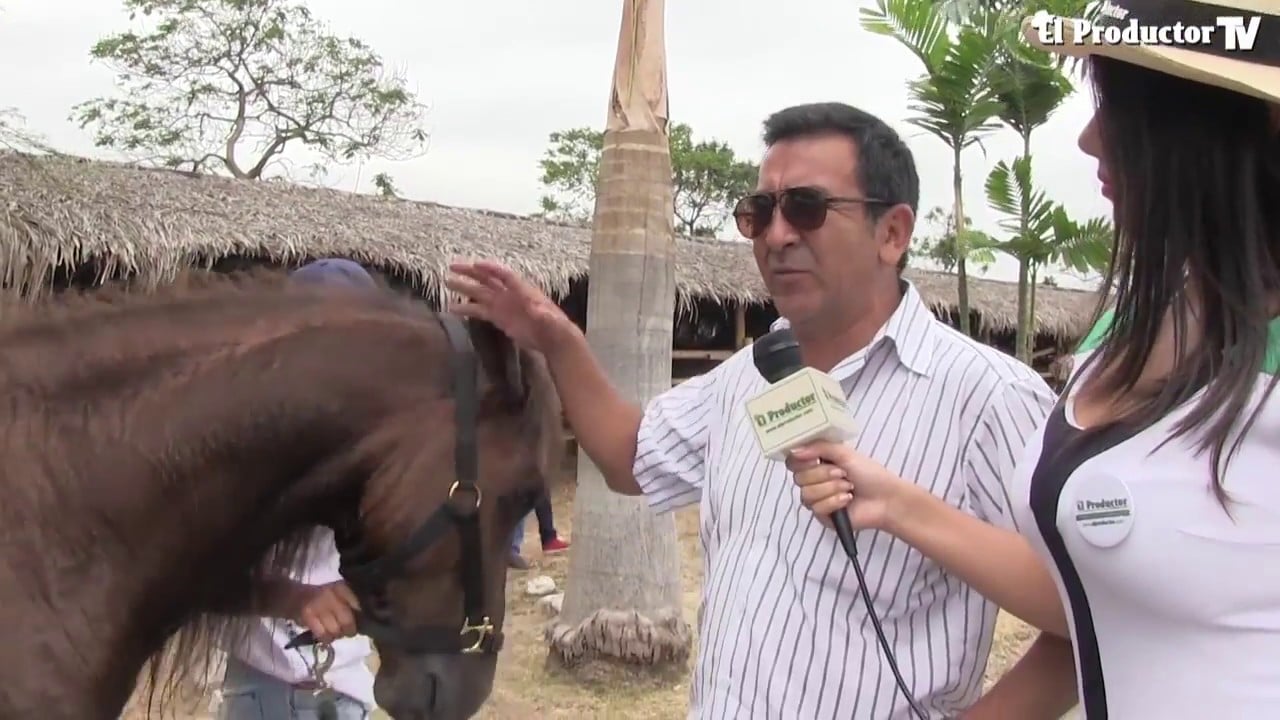 ¿Conoces TODAS las RAZAS de CABALLOS?