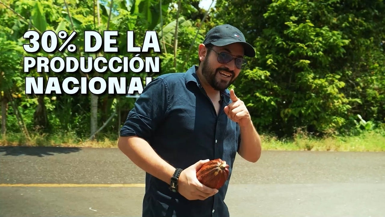 ¿El cultivo de CACAO es RENTABLE en 2026? ¿Cómo duplicar la…