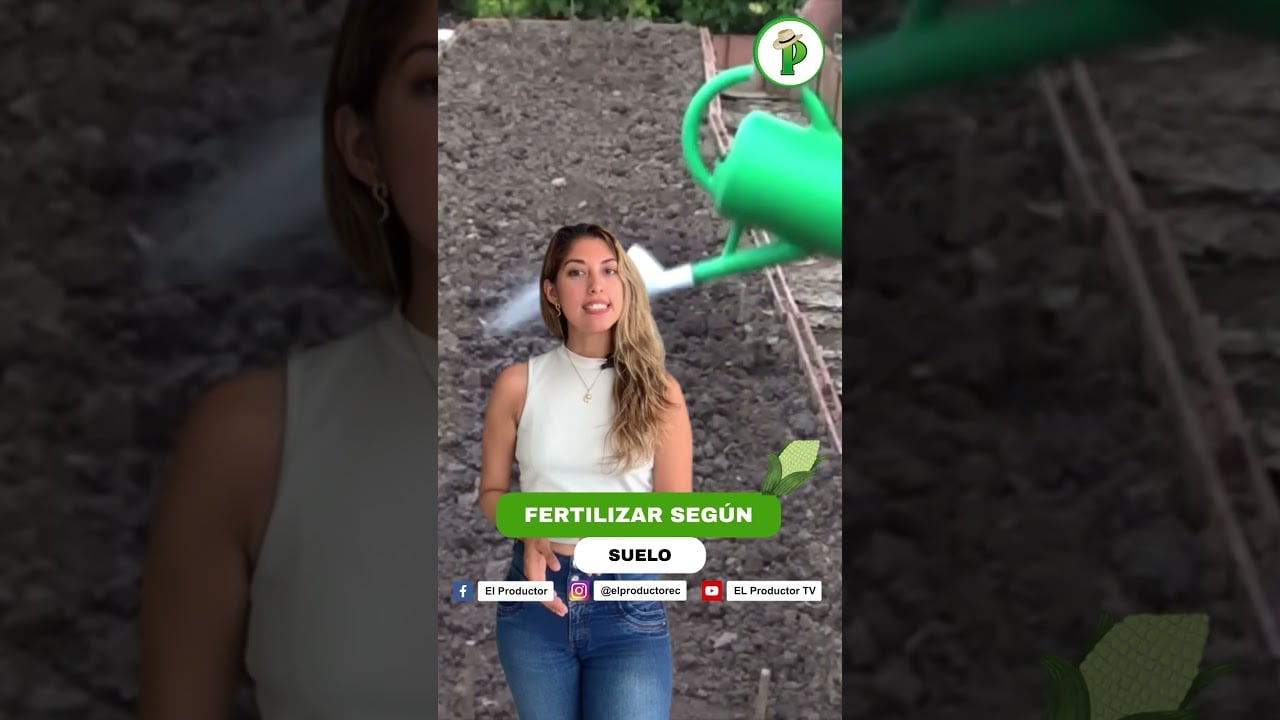 ¿Ganar $5,000 con solo 1 hectárea de maíz? ¡Sí se puede! #agricultura…
