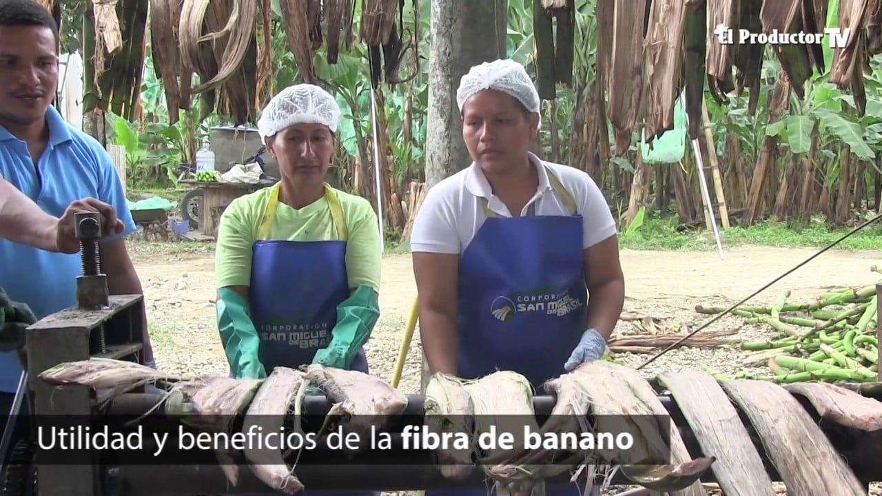 CEMENTO a base de raquis de banano?? ¡Conózcalo!