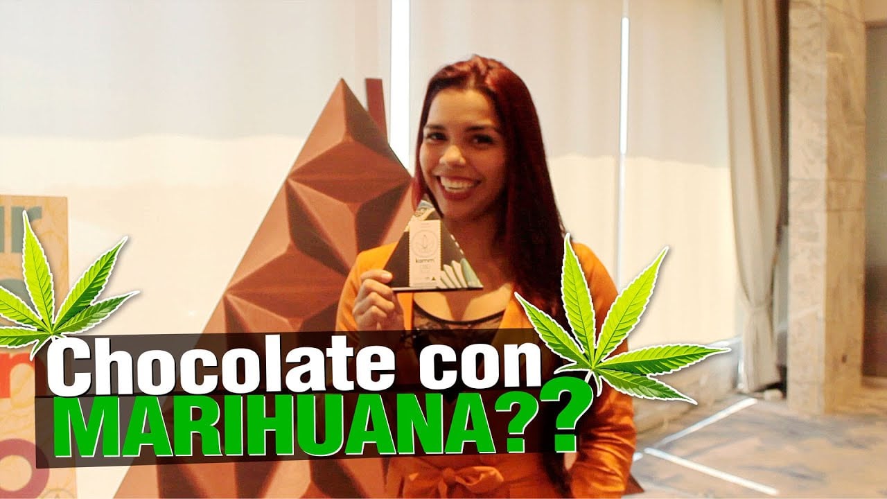 Chocolate con CANNABIS ¿Lo has probado?