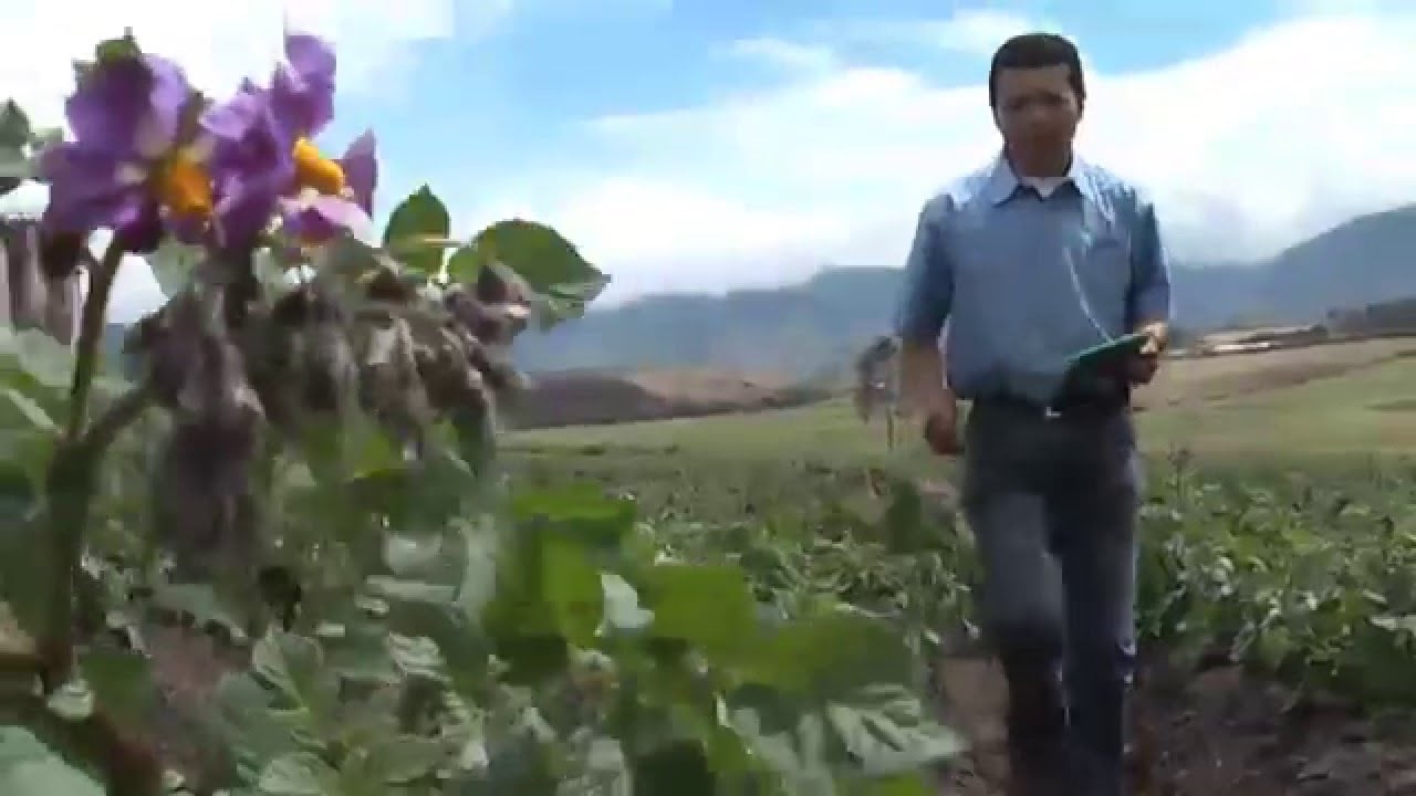 Mecanización Agrícola en el Ecuador | ElProductor.com