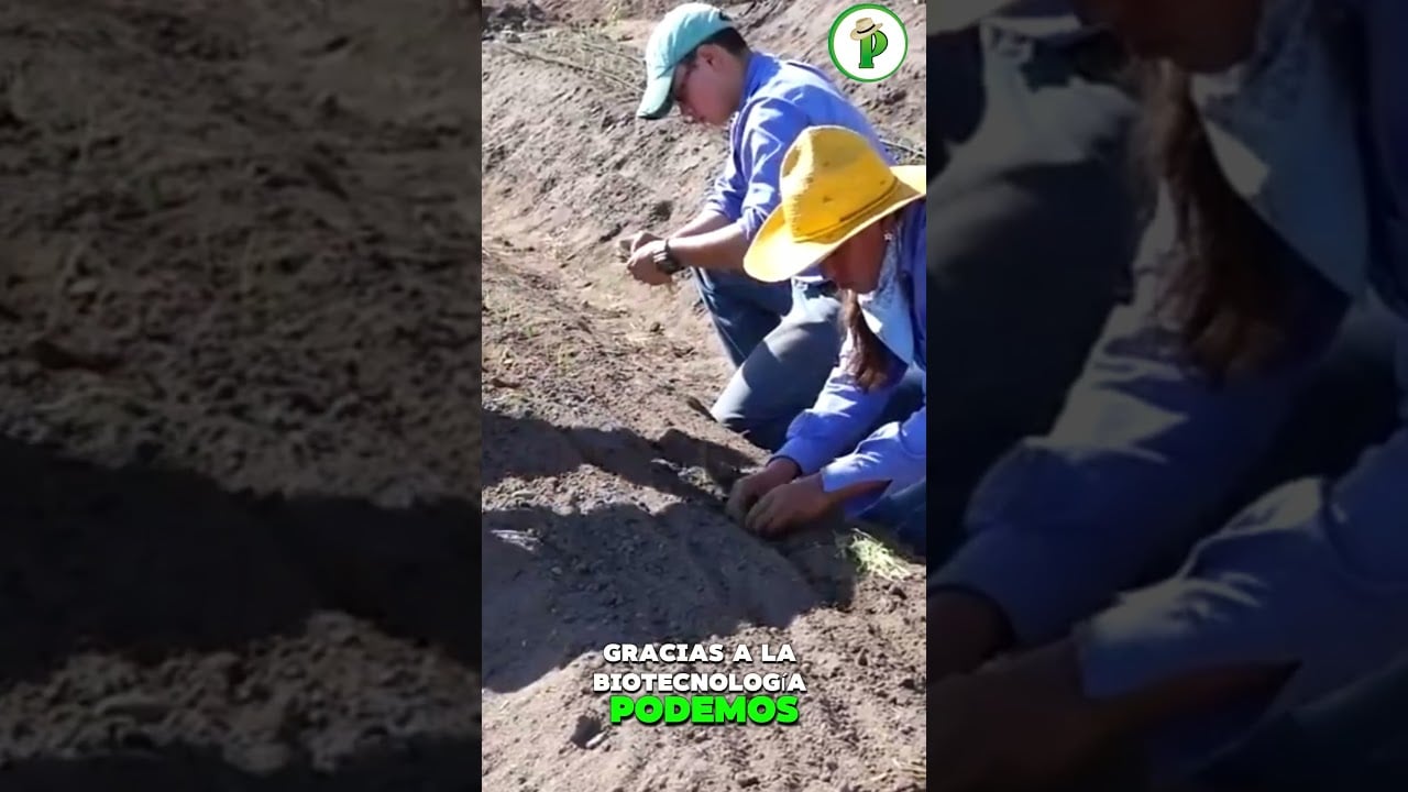 ¿Tu suelo da todo su potencial? Descúbrelo aquí