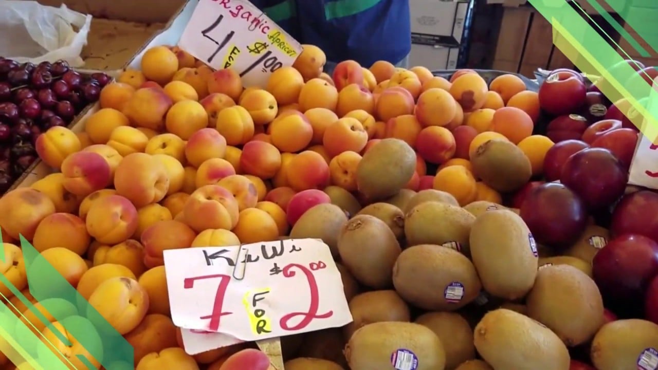 AgroFest | Ferias Agricolas