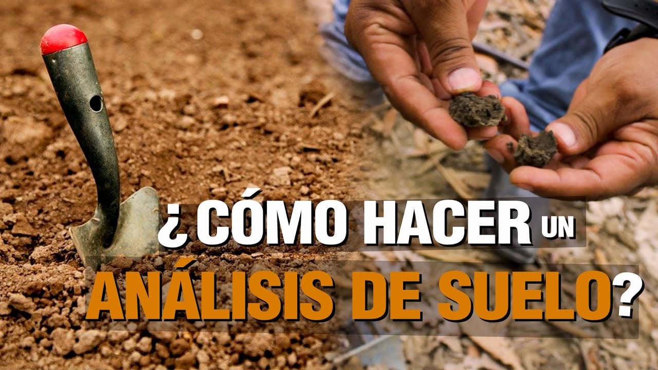 ¿Cómo hacer un ANÁLISIS DE SUELO Y FOLIAR en el campo?