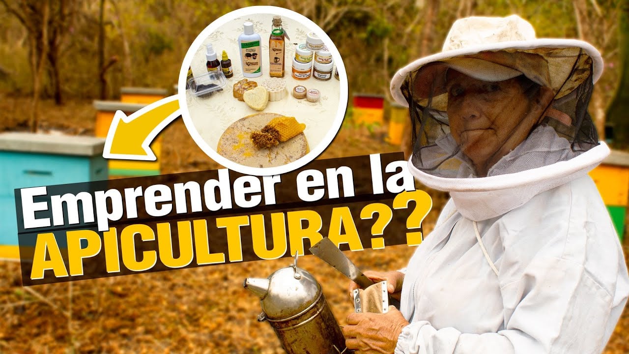 ¿ Cómo tener éxito EMPRENDIENDO con MIEL de ABEJA ?