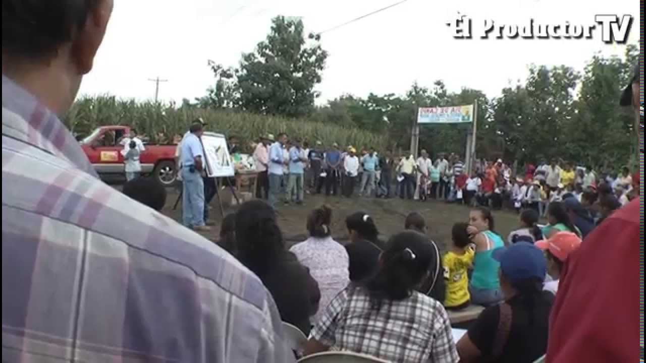 Cosecha de maíz en Ecuador