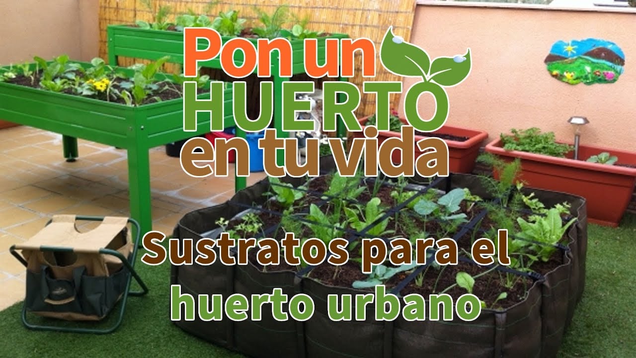 Huerto urbano: 9 Pasos cómo hacer una huerta en casa y terrazas