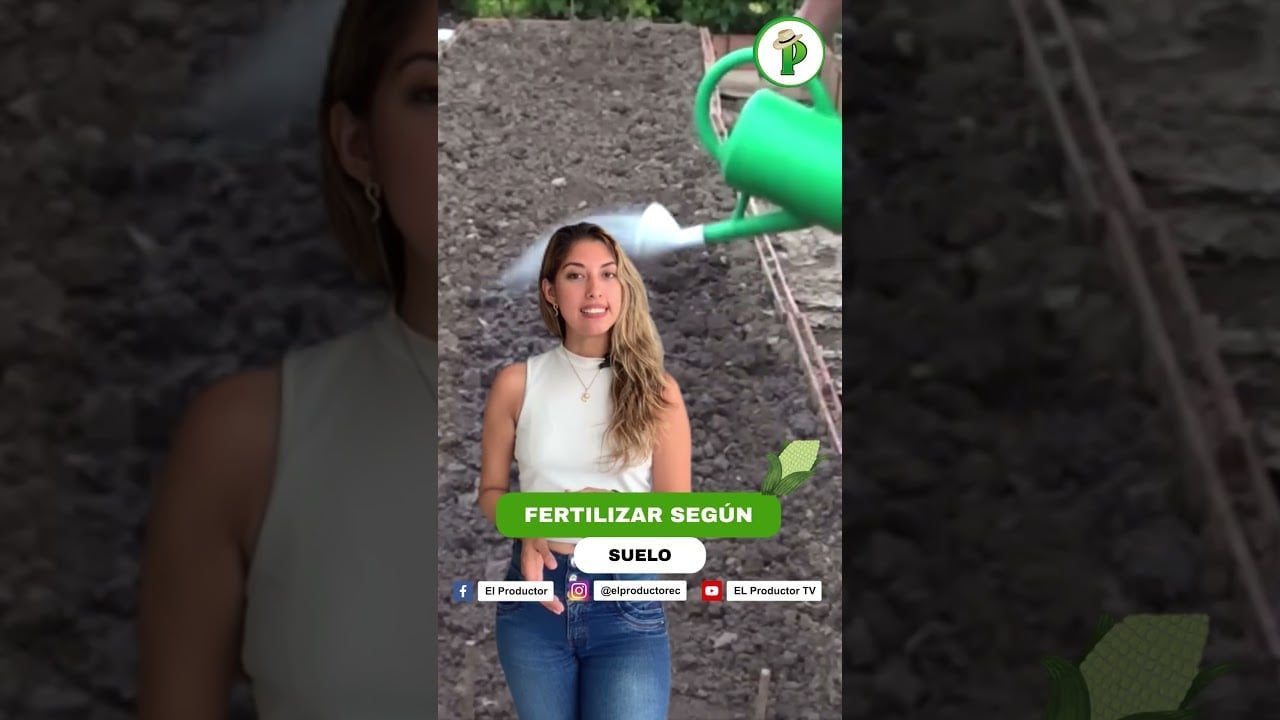 "¡Siembras Maíz y Ganas Miles! Descubre Cómo…"