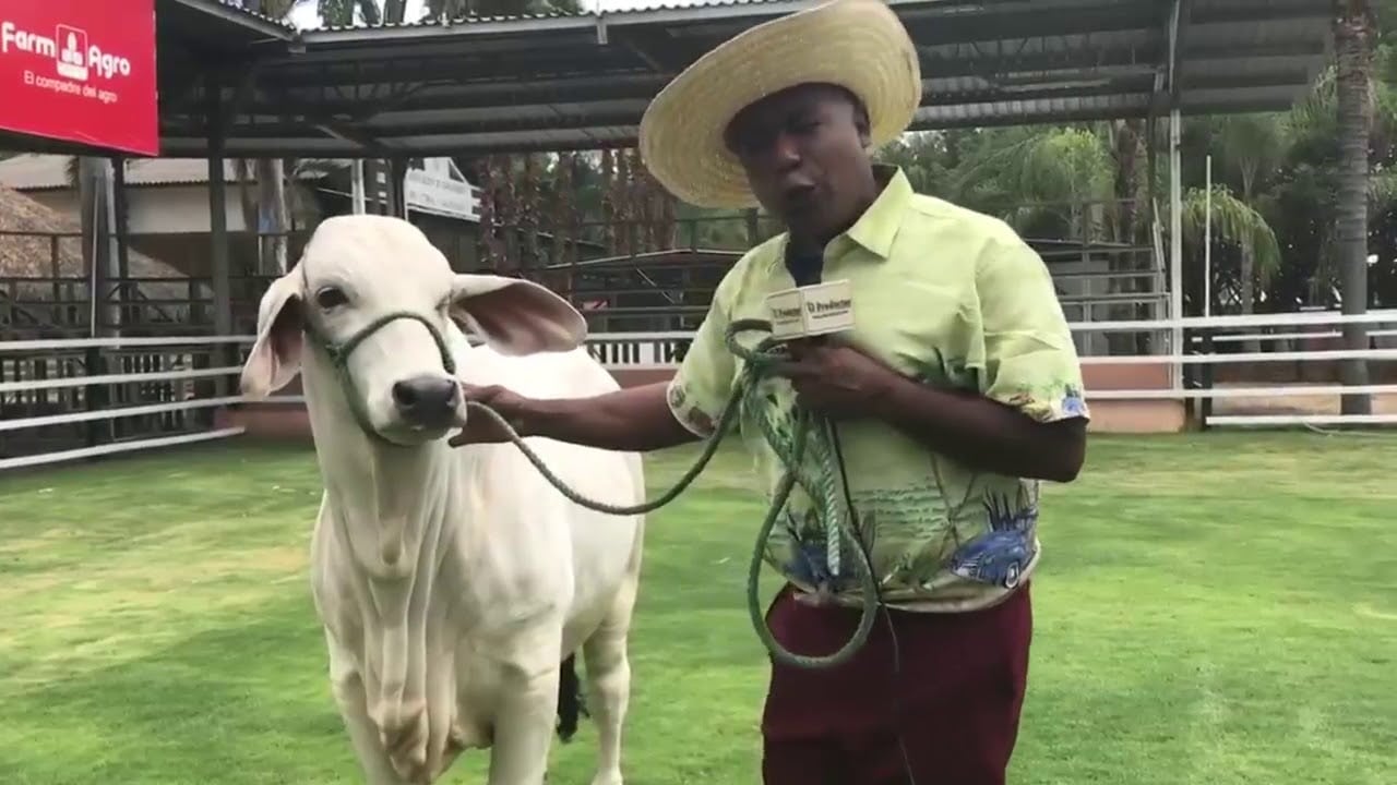 VACA golpea a Richard BARKER