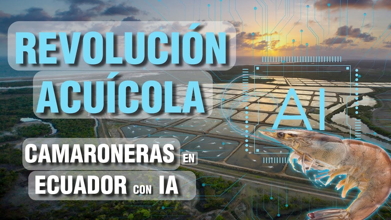 Wow! Camaroneras con INTELIGENCIA ARTIFICIAL - IA.