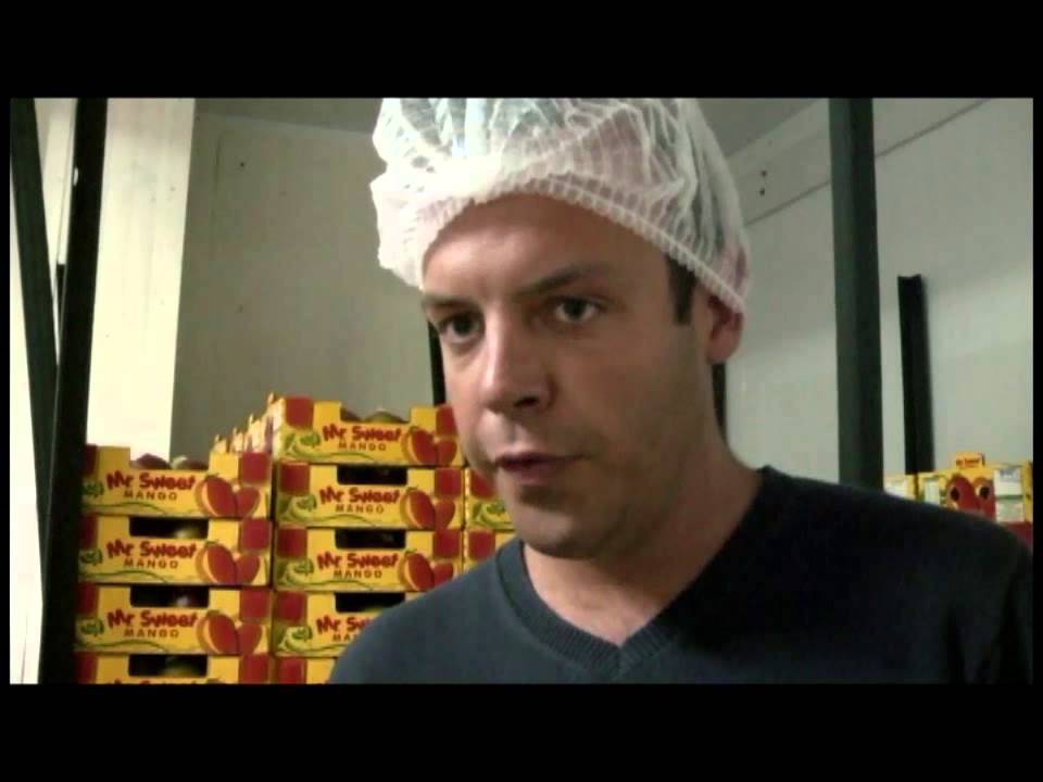 Exportación de Mango en Ecuador | ElProductor.com