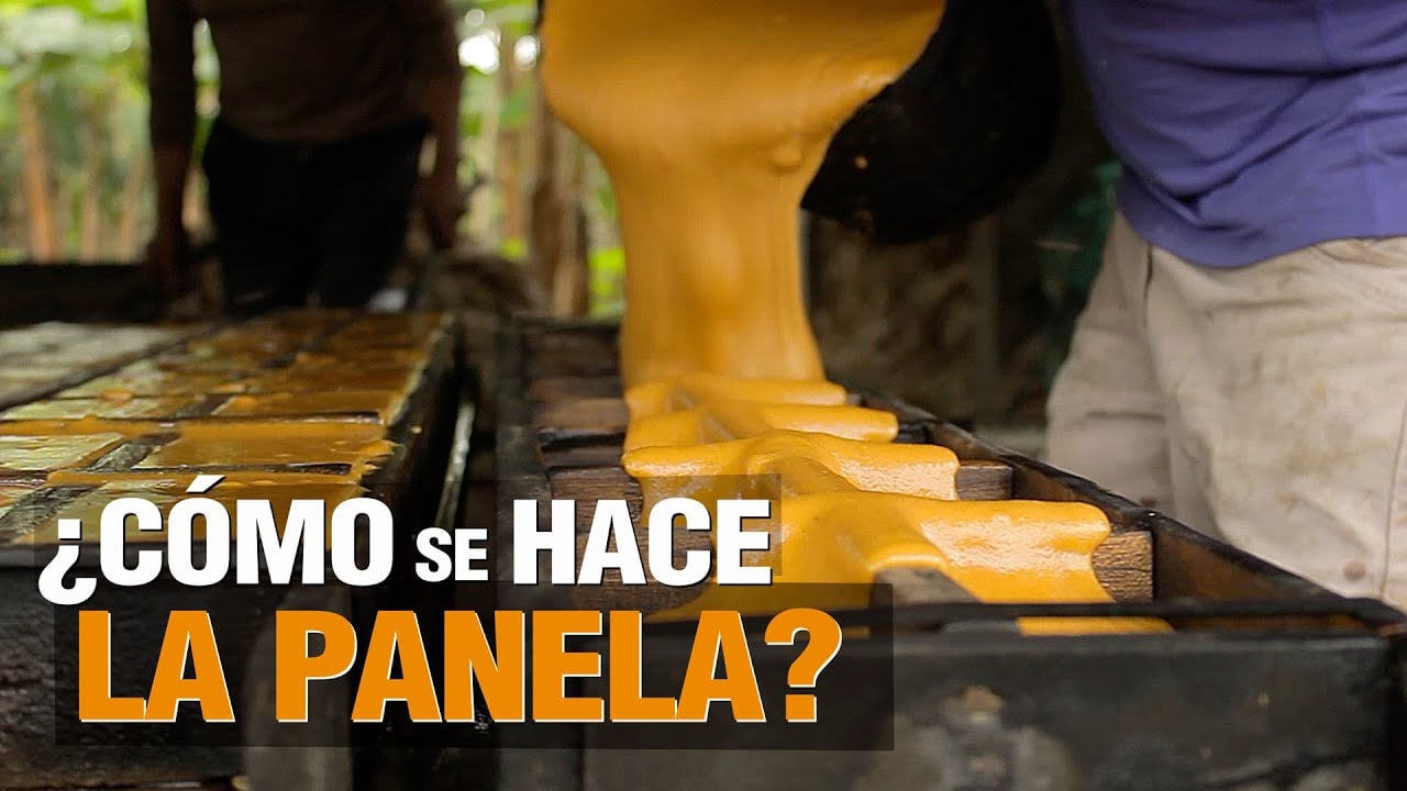 CÓMO hacer PANELA ? - Paso a Paso #agriculture