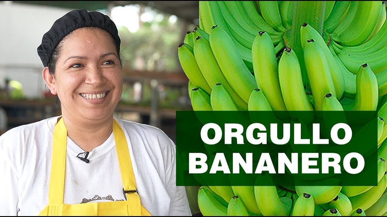 Ecuador y su orgullo bananero
