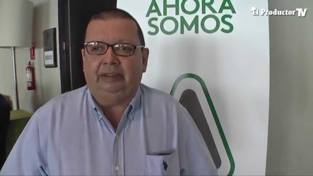 ADAMA: Recomendaciones para el Control de Plagas en Arroz