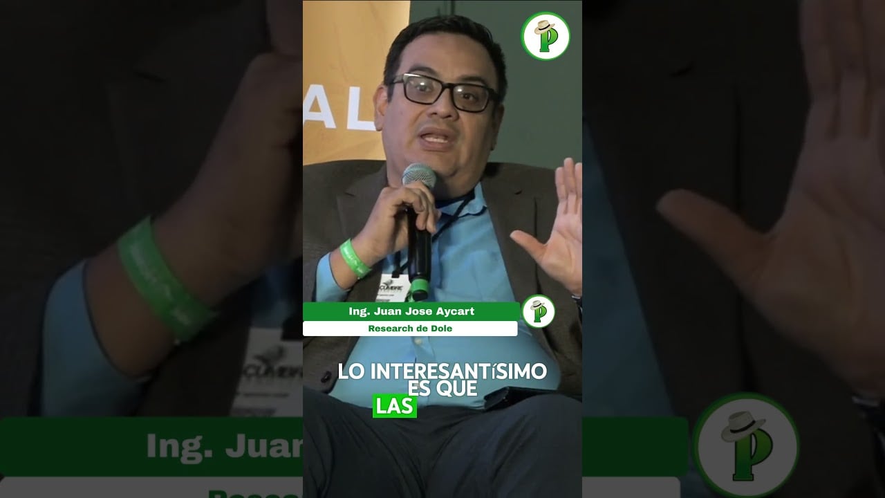 ¿El MOKO está arruinando tu banano? #plátano #moko #ecuador…