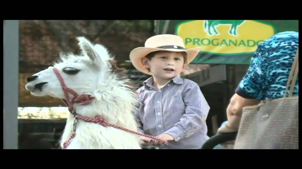 Feria Ganadera de Durán 2011 | Elproductor.com - Ecuador