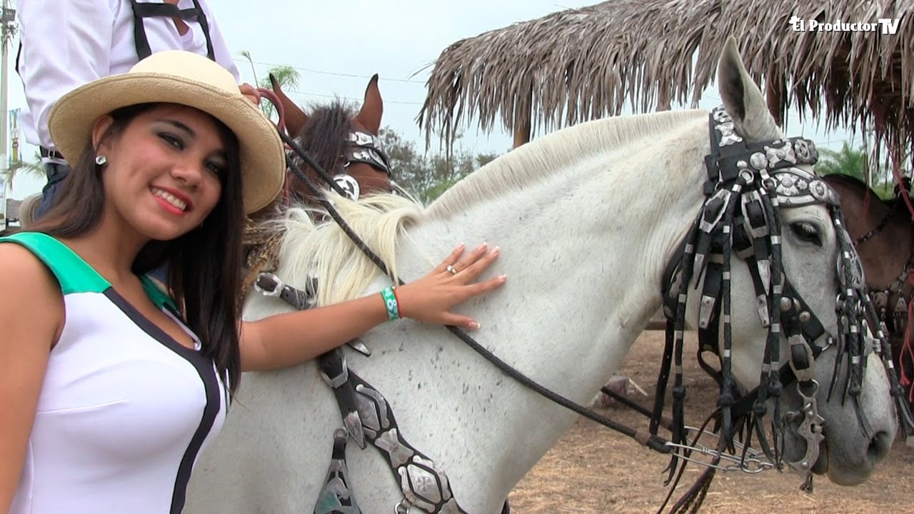 Segundo Festival del Caballo
