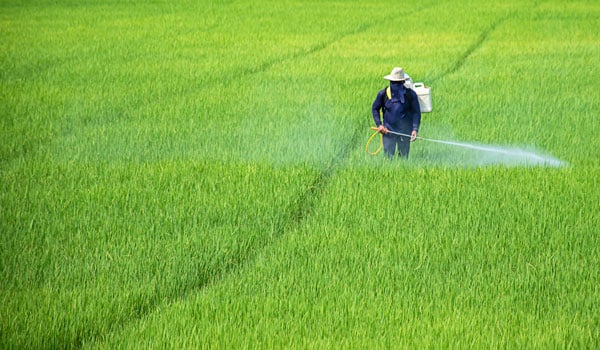 BRASIL: Una barrera protectora aumenta la supervivencia de los hongos beneficiosos en los fertilizantes químicos.