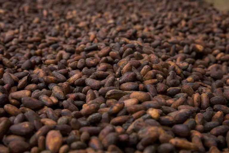 El cacao retrocede por dudas sobre la demanda y mejores perspectivas de oferta
