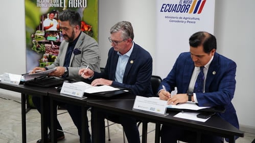 Ecuador impulsa la investigación bananera con nueva alianza institucional