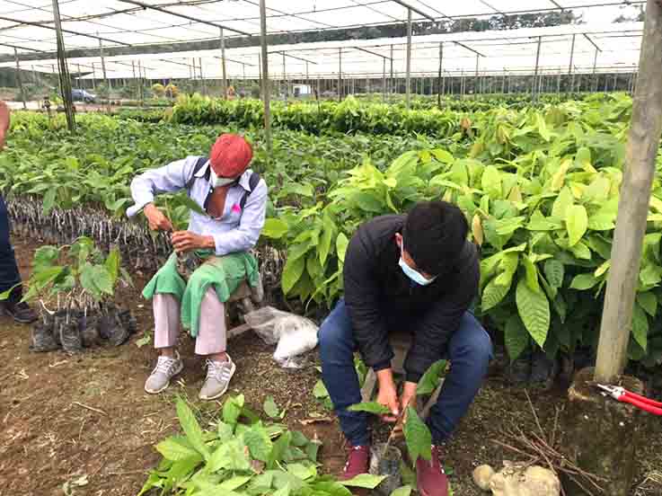 La UE impone los contratos por escrito entre agricultores y compradores