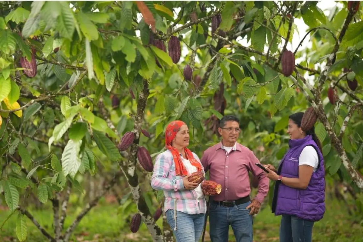 ECUADOR: Nueve provincias concluyen el levantamiento del Registro Nacional Agropecuario