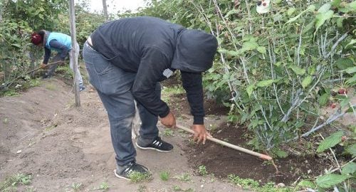 La UE impone los contratos por escrito entre agricultores y compradores