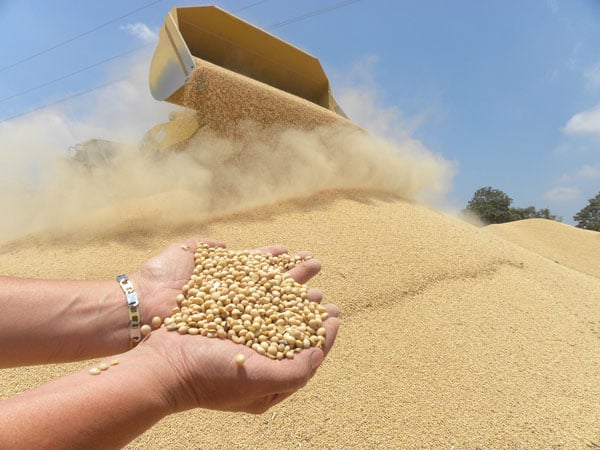 La soya escala hacia los US$11,80 por bushel impulsada por la demanda china