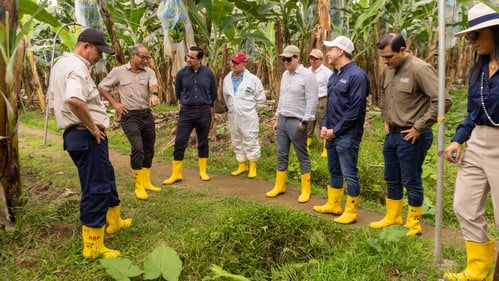 FMI evalúa retos del sector bananero ecuatoriano