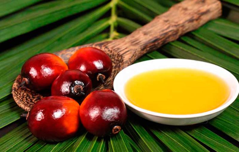 El aceite de palma alcanza máximos de cuatro meses ante el impulso de los aceites comestibles