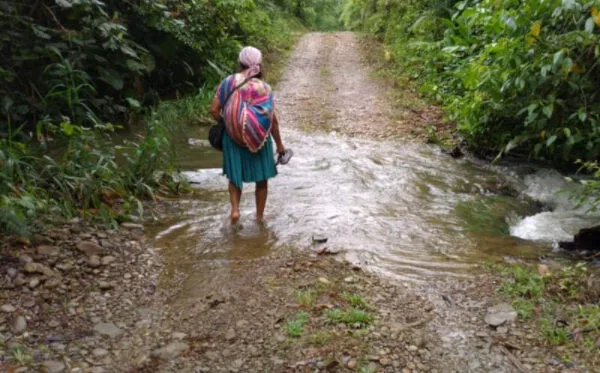 ECUADOR: Prevención y asistencia técnica marcan la agenda agrícola este invierno