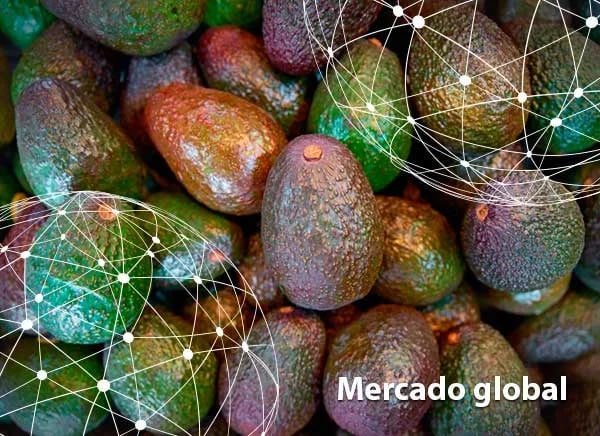 Resumen del mercado global del aguacate