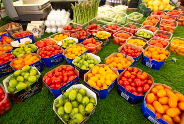 La alimentación mundial se enfrenta a una creciente inequidad política y económica