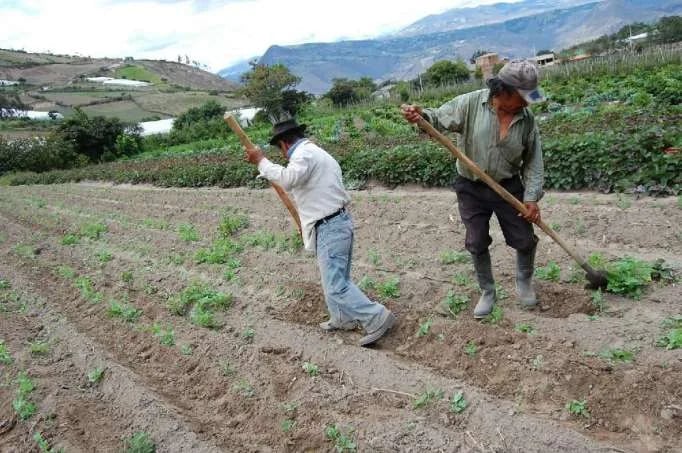 La crisis del agua amenaza la producción mundial de alimentos, según un informe