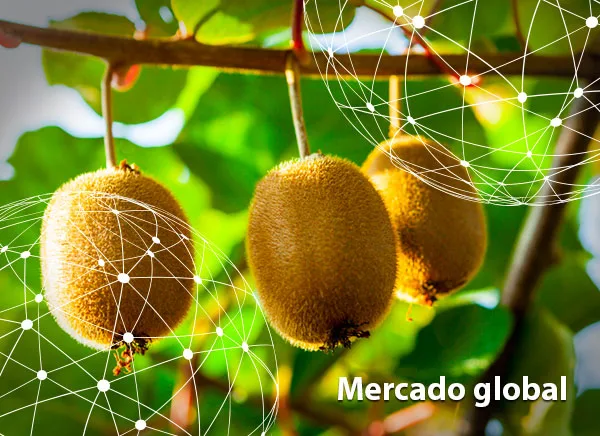 Resumen del mercado global del kiwi
