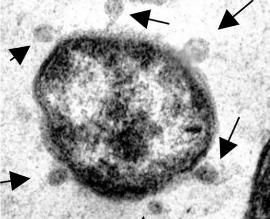Investigadores encuentran un péptido que trata y previene la enfermedad mortal de los cítricos