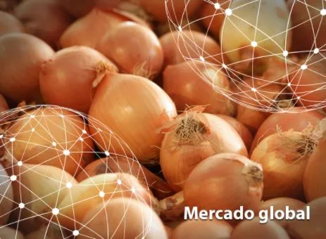 Resumen del mercado global de la cebolla