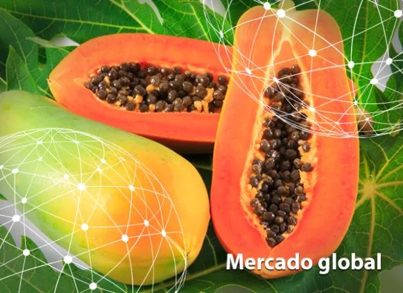 Resumen del mercado global de la papaya