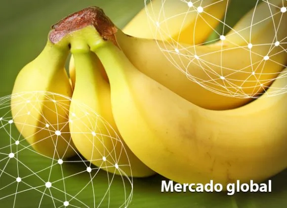 Resumen del mercado global de la banana