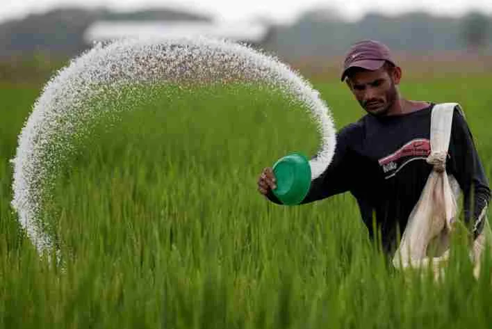 ¿Sabía usted? Los análisis de suelo y el potasio “absorbible” por las plantas