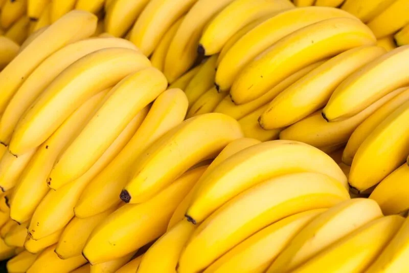 INTERNACIONAL: Filipinas aprueba el banano editado por CRISPR, para reducir el desperdicio de alimentos