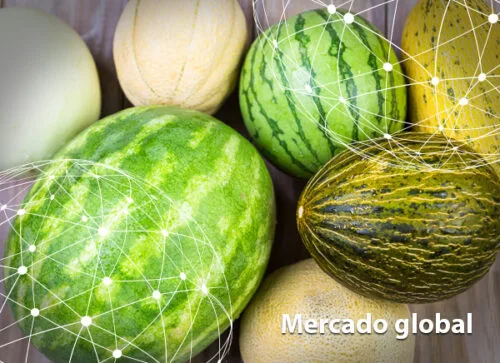 Resumen del mercado global del melón y la sandía