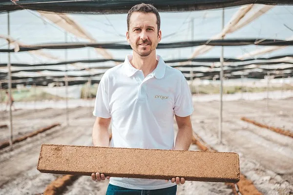 Por qué las plantas prefieren la fibra de coco y los productores también