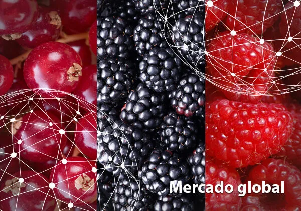 Resumen del mercado global de la frambuesa, la mora y la grosella