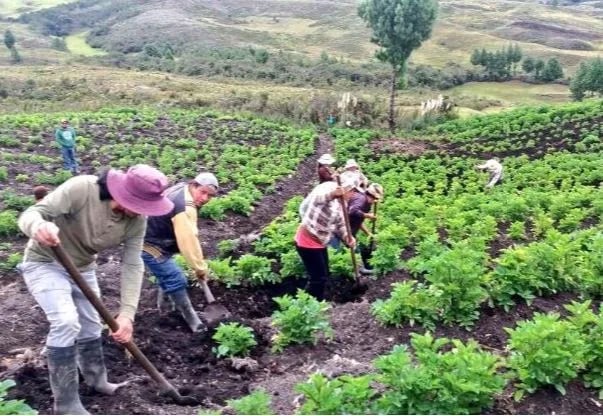 ECUADOR: Agro busca más financiamiento e integración global